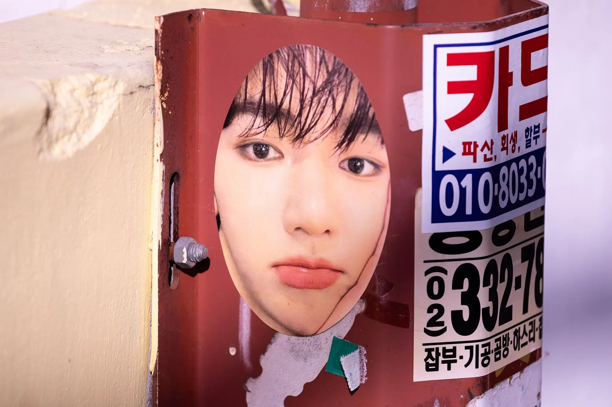 이청의 사진