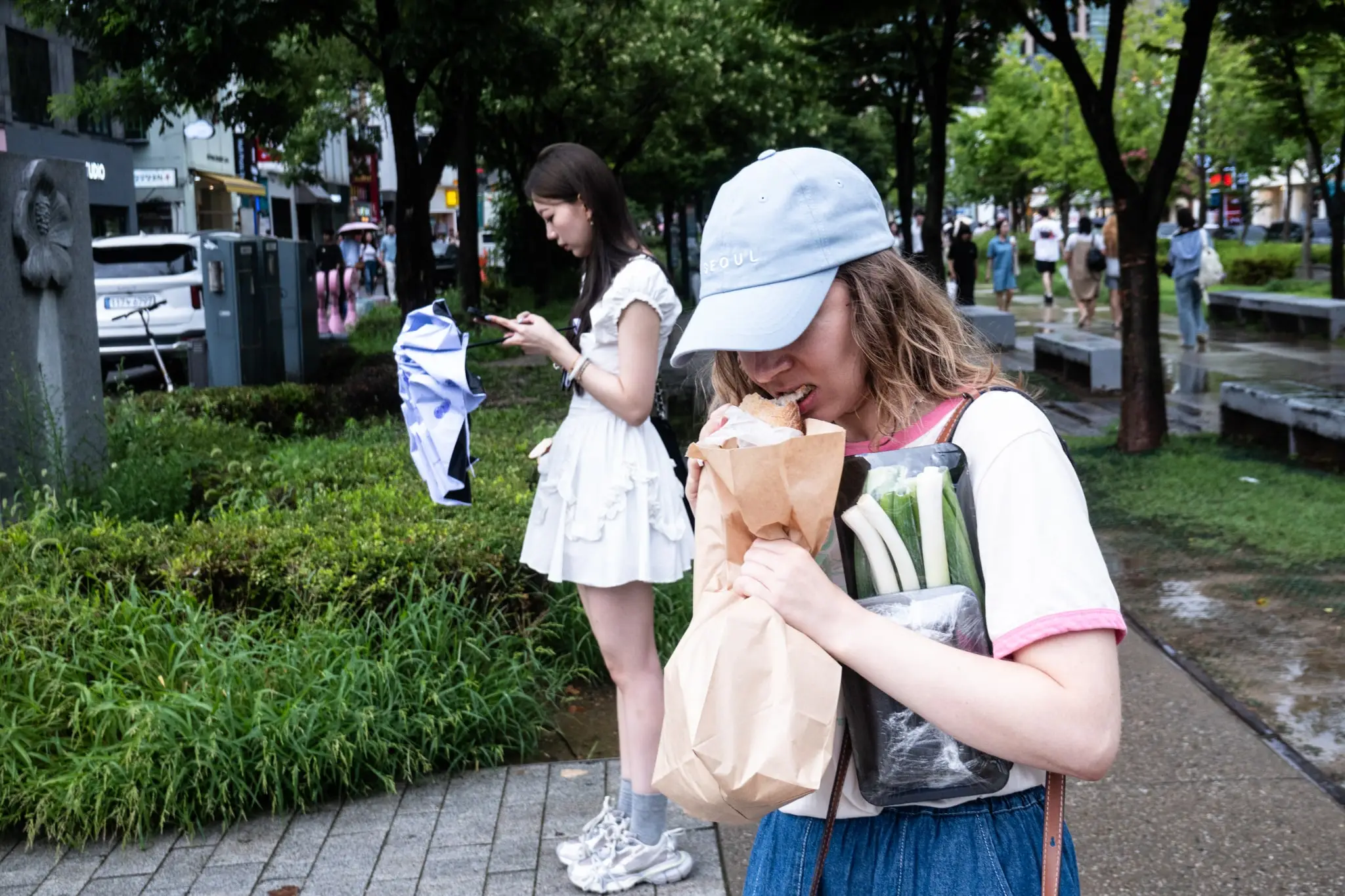 이청의 사진