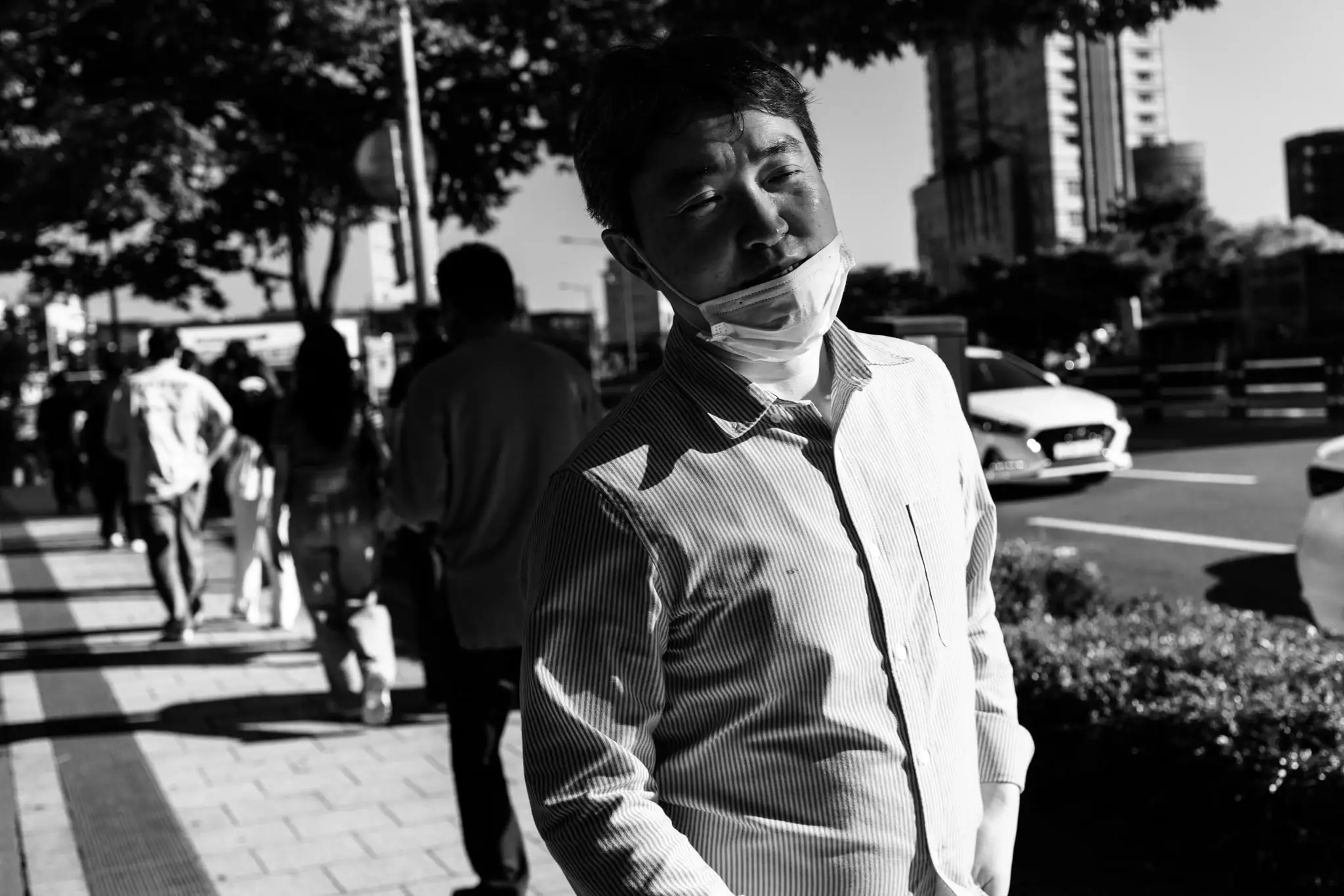 이청의 사진