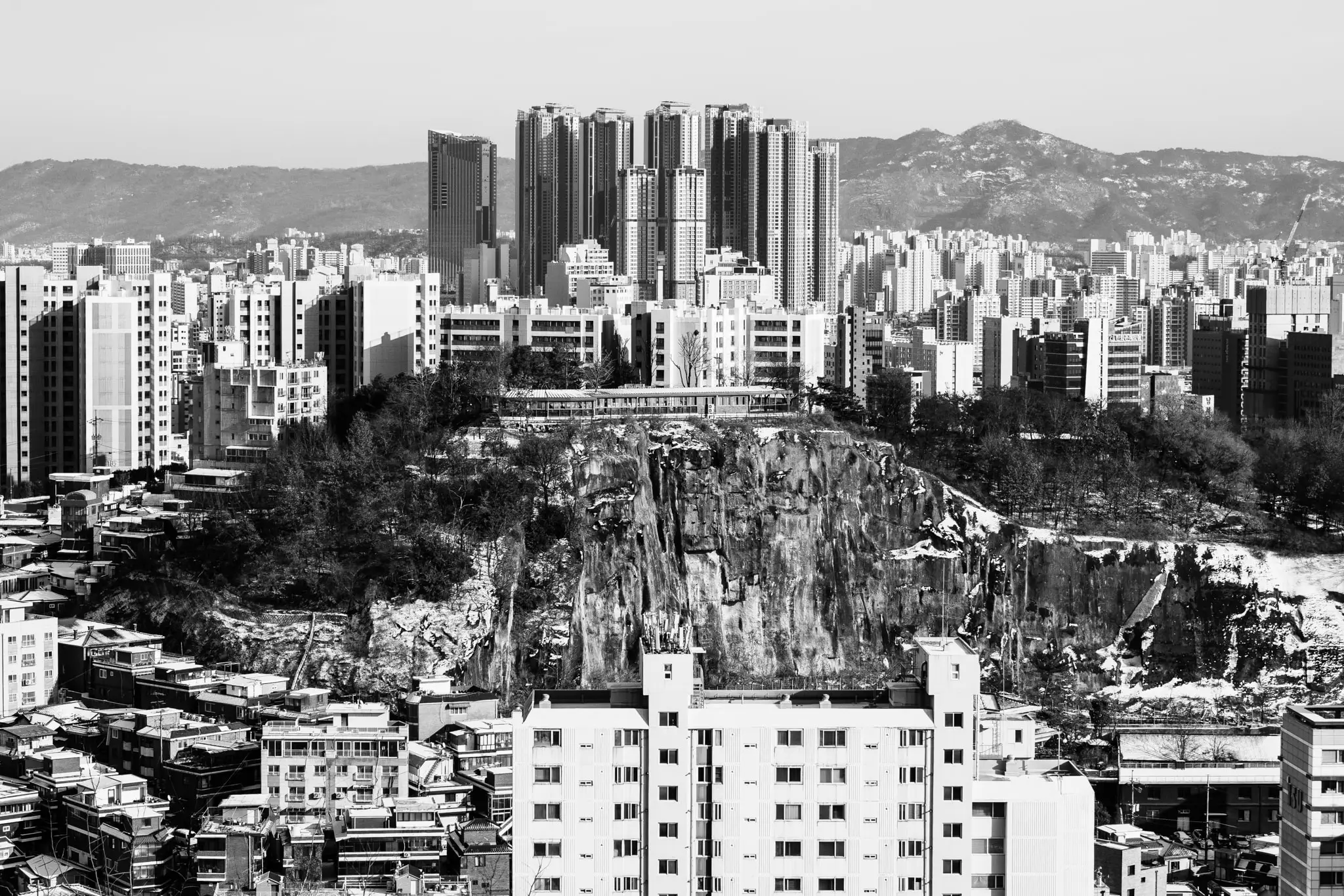이청의 사진