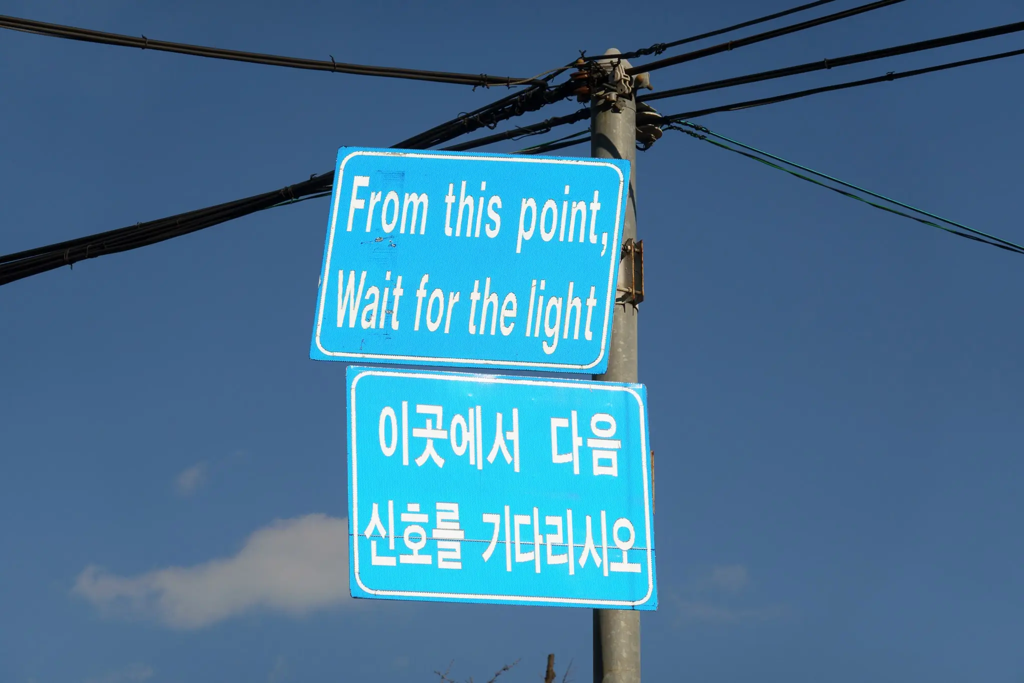 이청의 사진