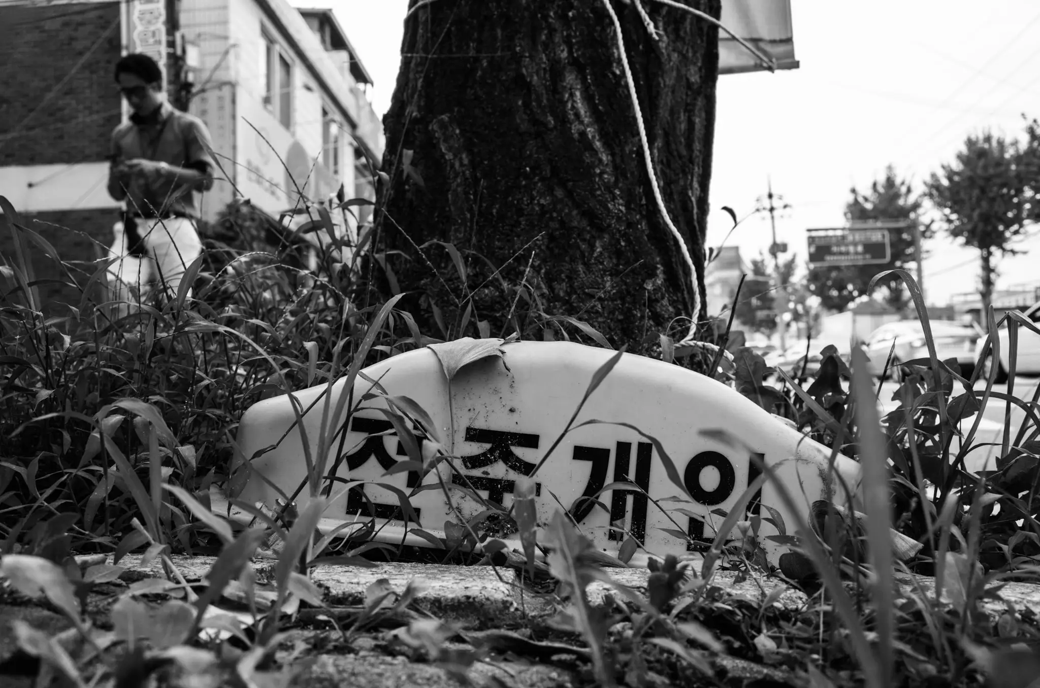 이청의 사진
